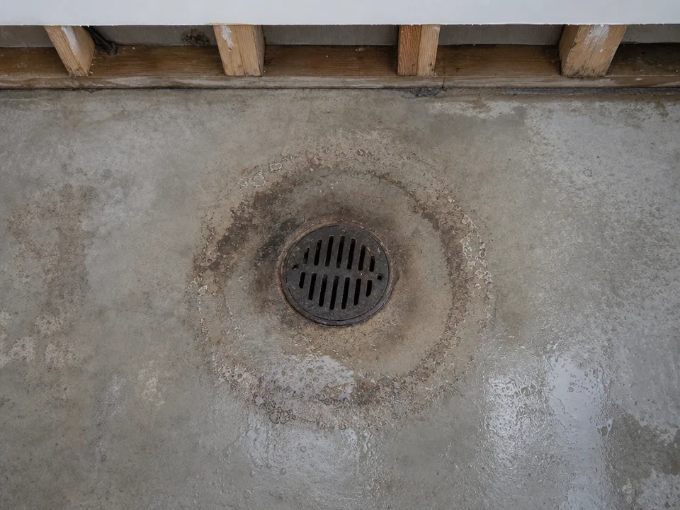 Looking down at a wet concrete floor around a round floor drain ringed with dried brown residue, the drywall along the wall cut away to the studs